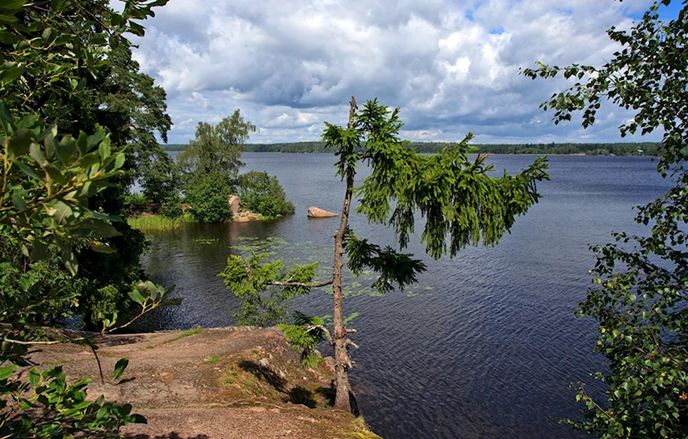 Mon repos Выборг