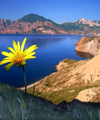 Море весной
