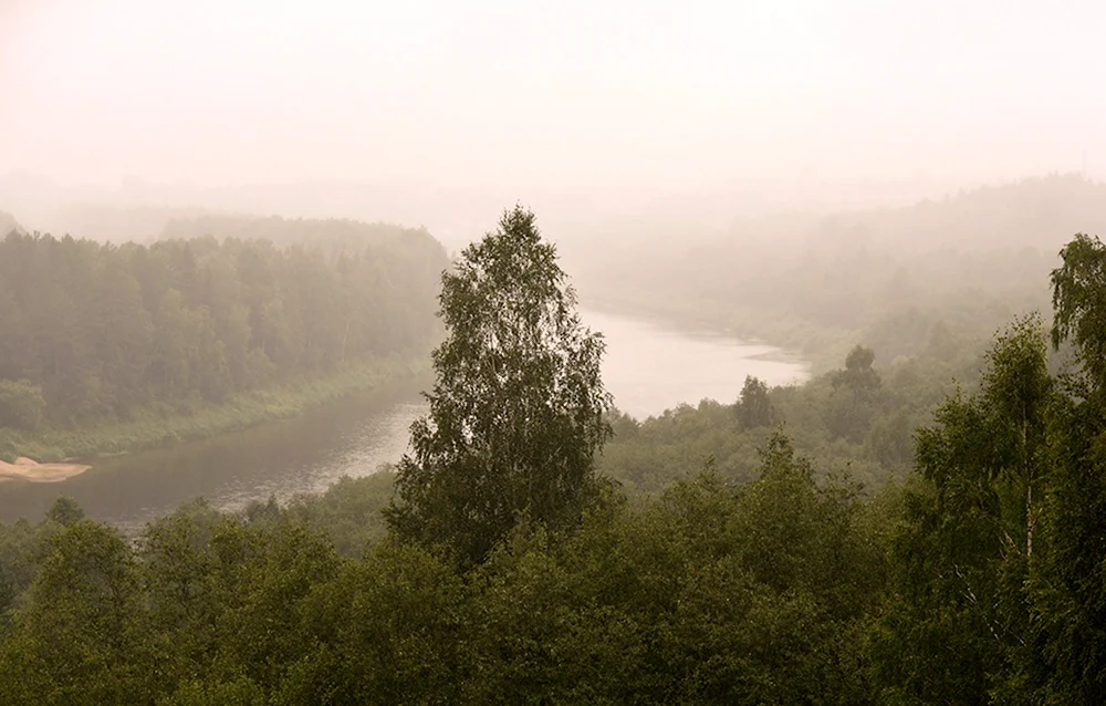 Моросящий дождь