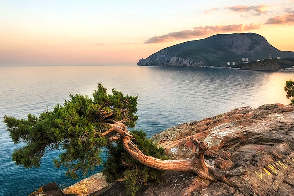Мыс Плака Алушта