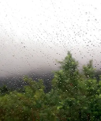 Мжичка морось