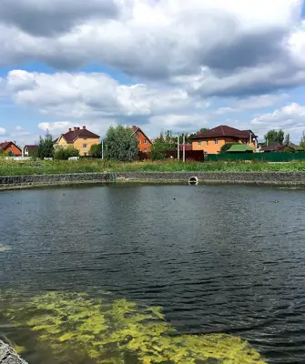 Назарьевский пруд Фирсановка