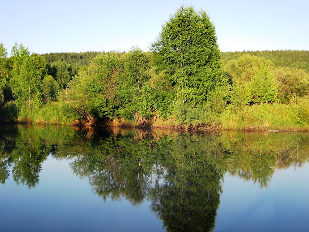 Няр Пермский край