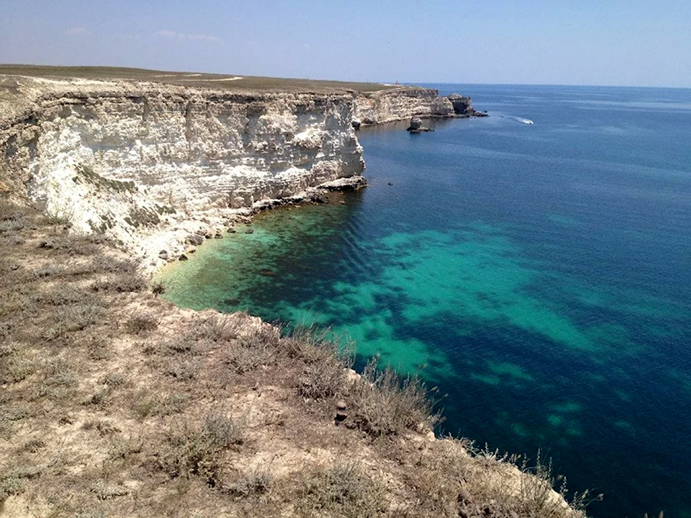 Оленевка вилпджтфото
