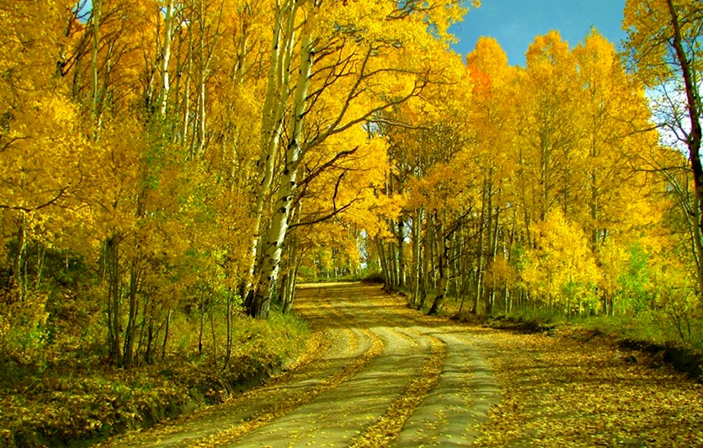 Осень