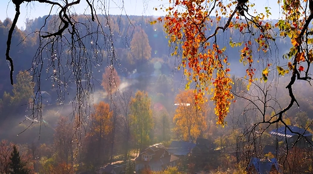 Осень дождь