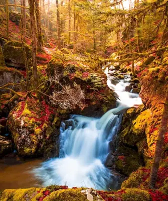 Осень лес водопад