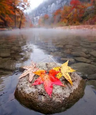 Осень вода