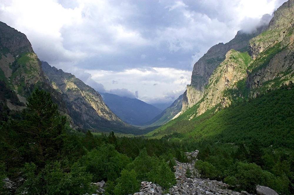 Осетия Цейское ущелье