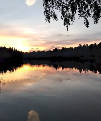 Оз Южное Черноголовка