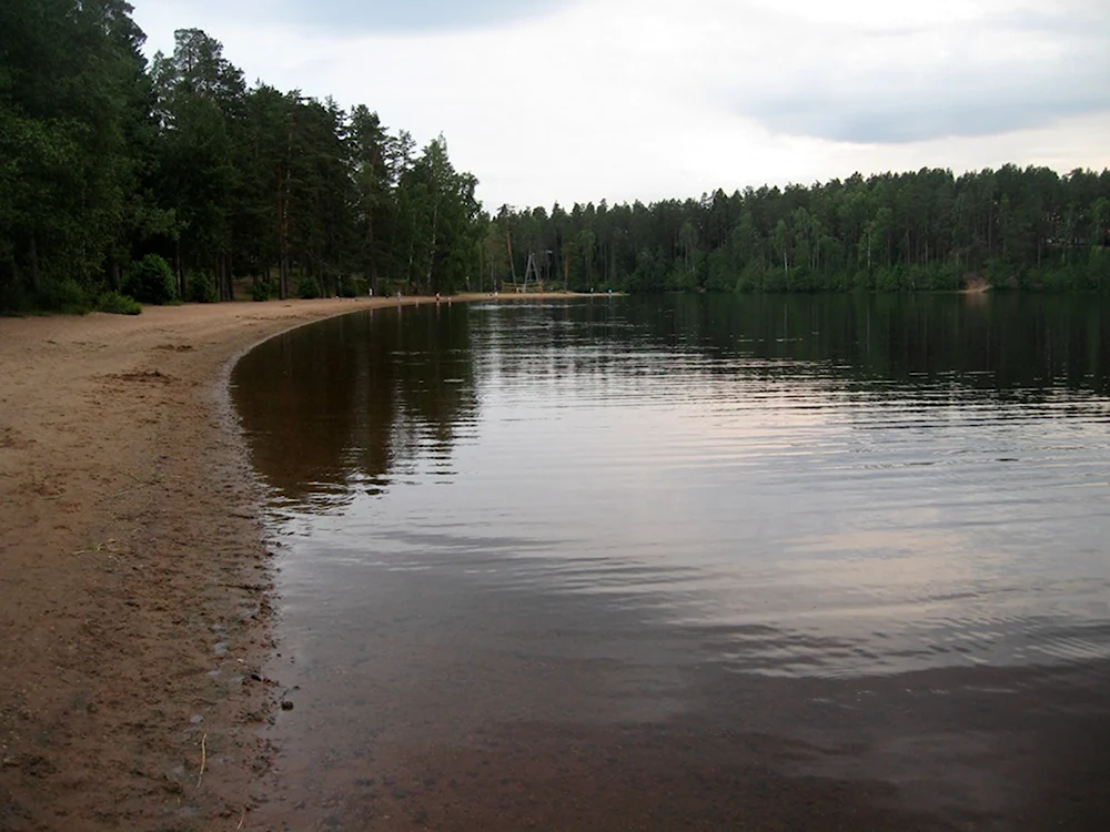 Оз красавица Ленинградская область