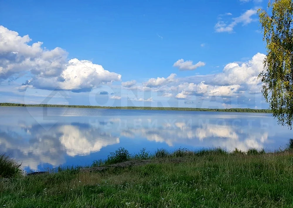 Озеро белое Клепиковский район