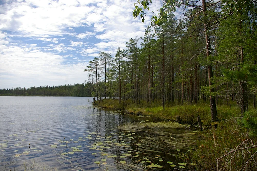 Озеро Каннельярви Карелия