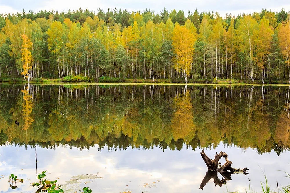 Озеро Щучье Екатеринбург