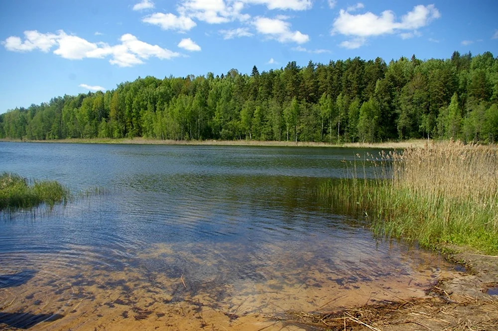 Озеро Стречно Ленинградская область