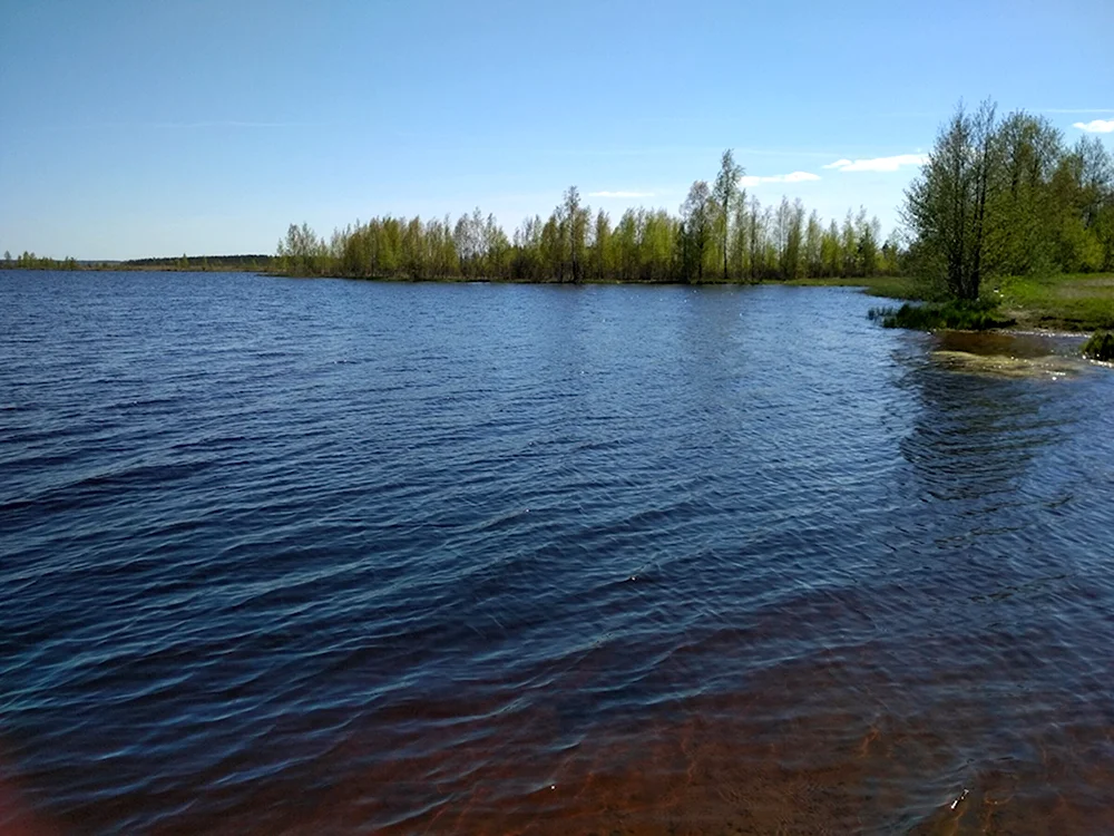 Озеро Волоярви Ленинградская область