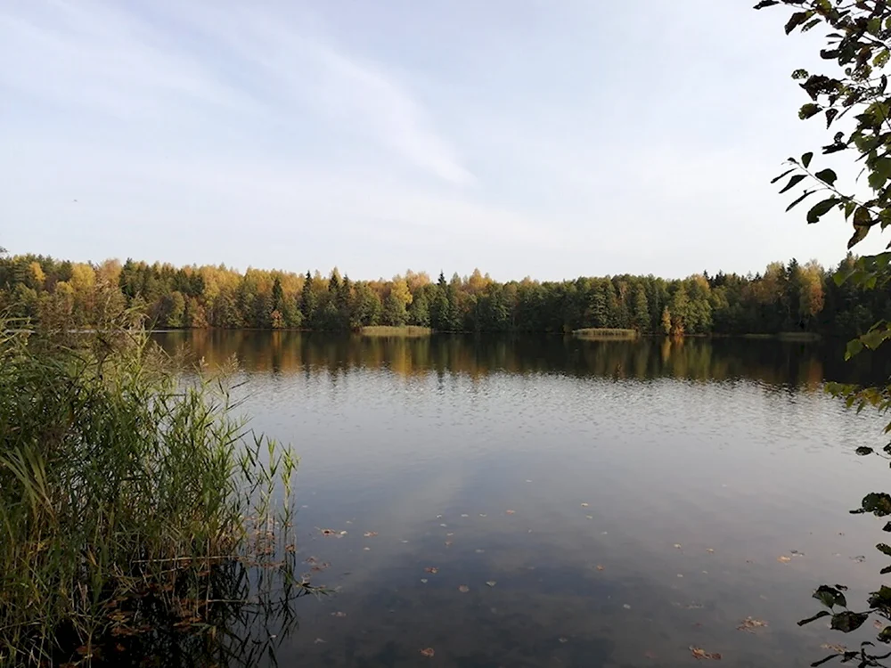 Озеро Заборье Ивановская