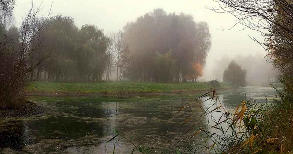 Пасмурное утро