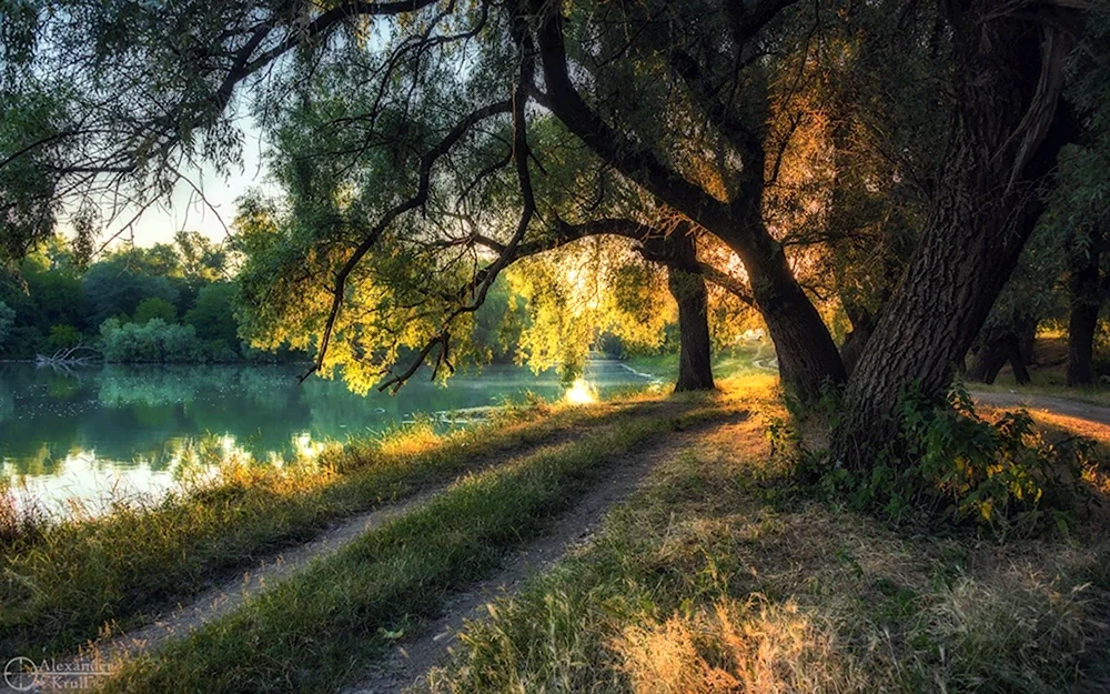 Пейзаж реки Кубань