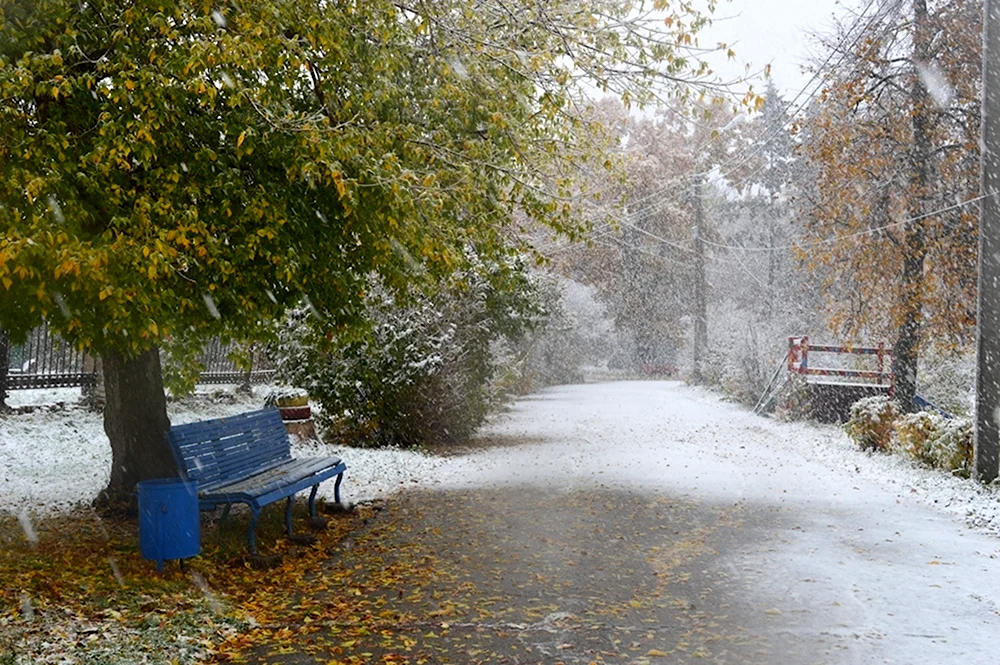 Первый снег в городе