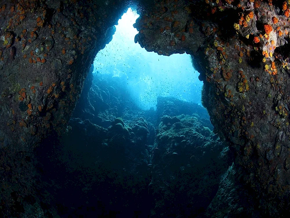 Пещера Морганс-Кейв