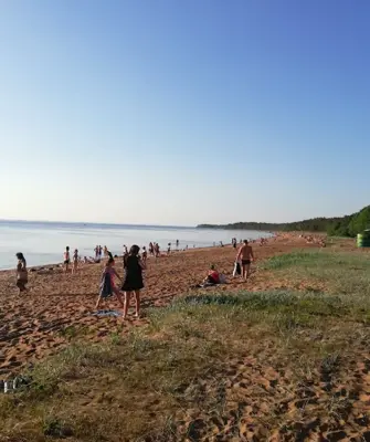Пляж Липово Сосновый Бор Ленинградская область