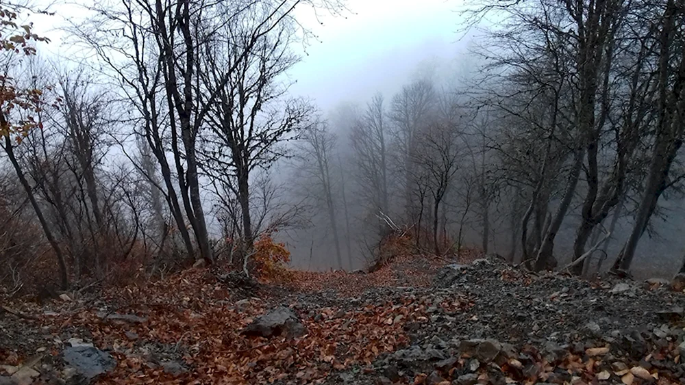 Поздняя осень