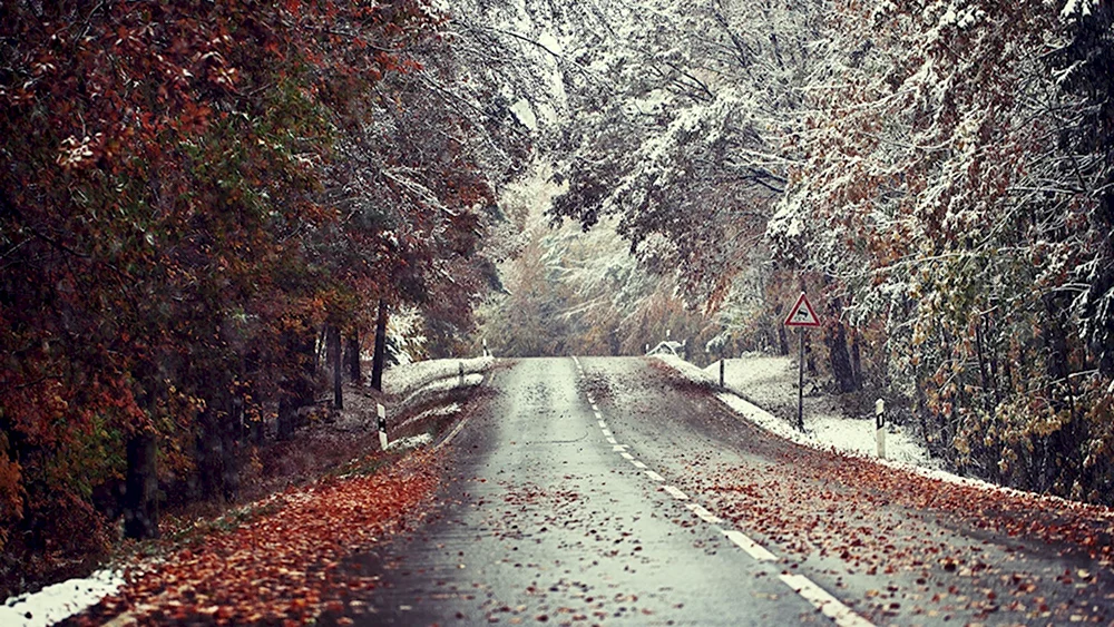 Поздняя осень