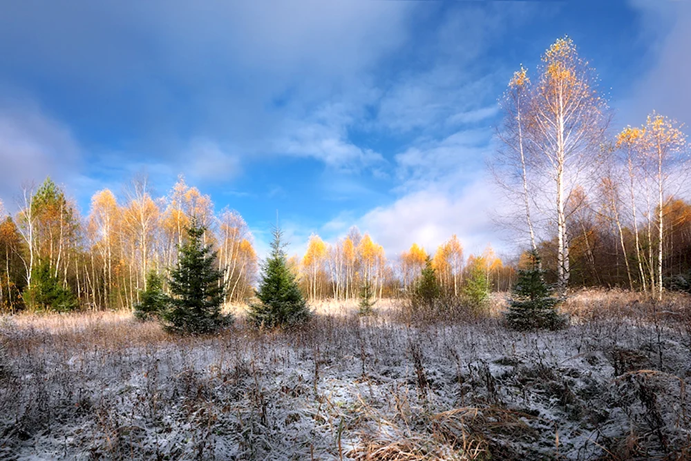 Поздняя осень