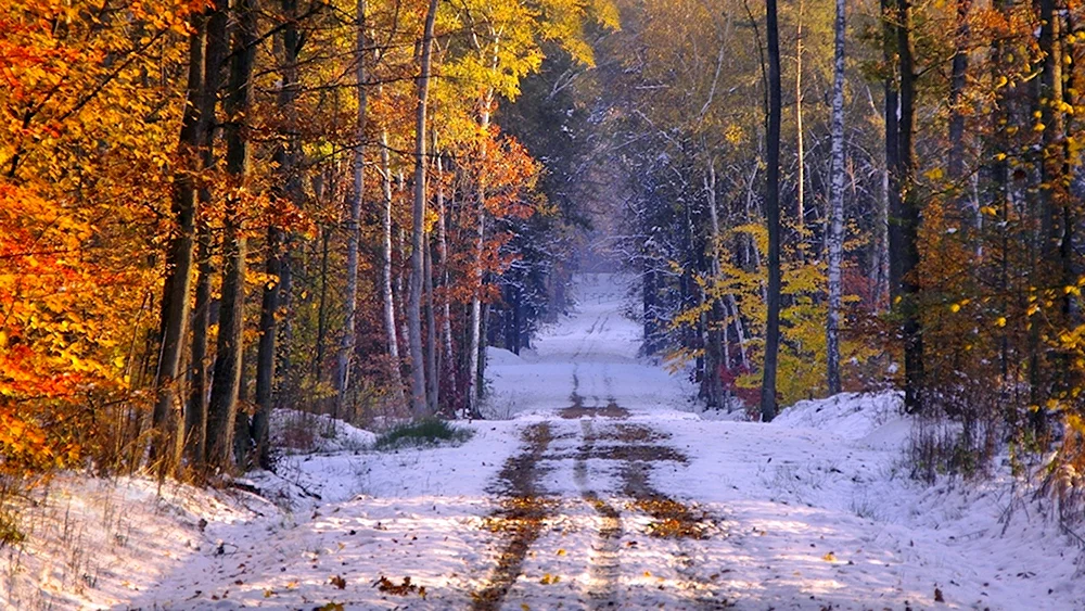 Поздняя осень фото