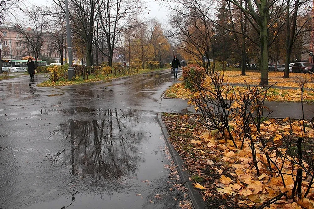 Поздняя осень в городе