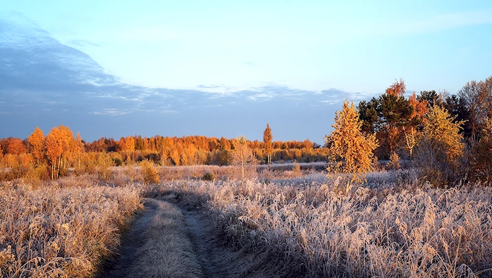 Поздняя осень заморозки