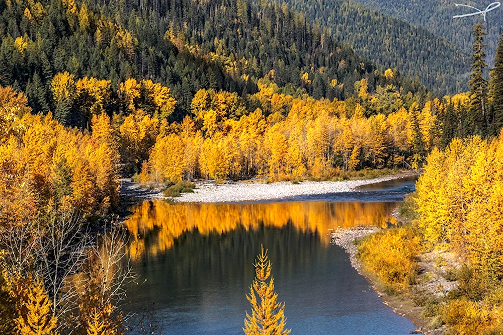 Природа Кузбасса осень