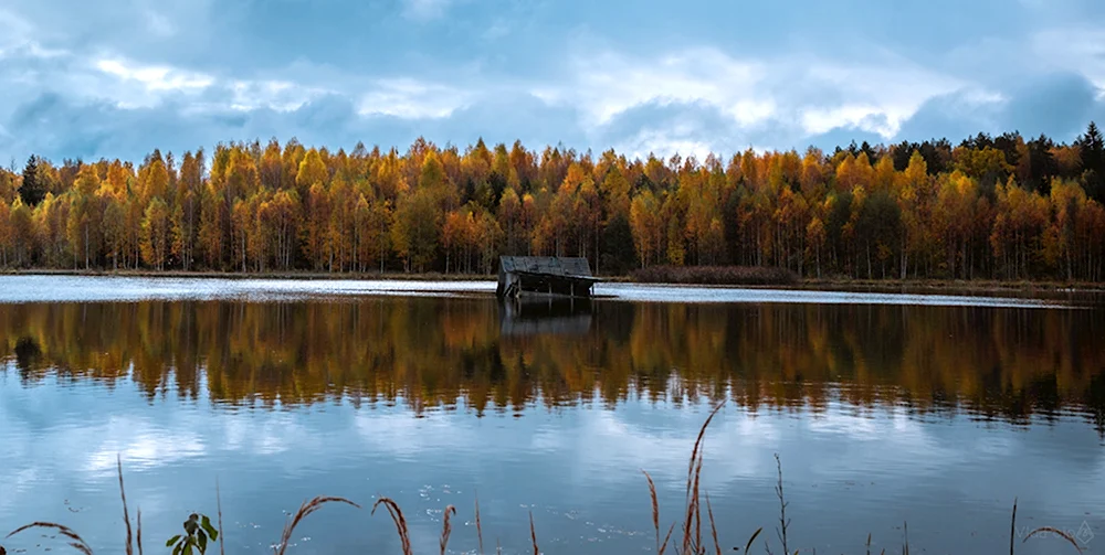 Природа Орловщины