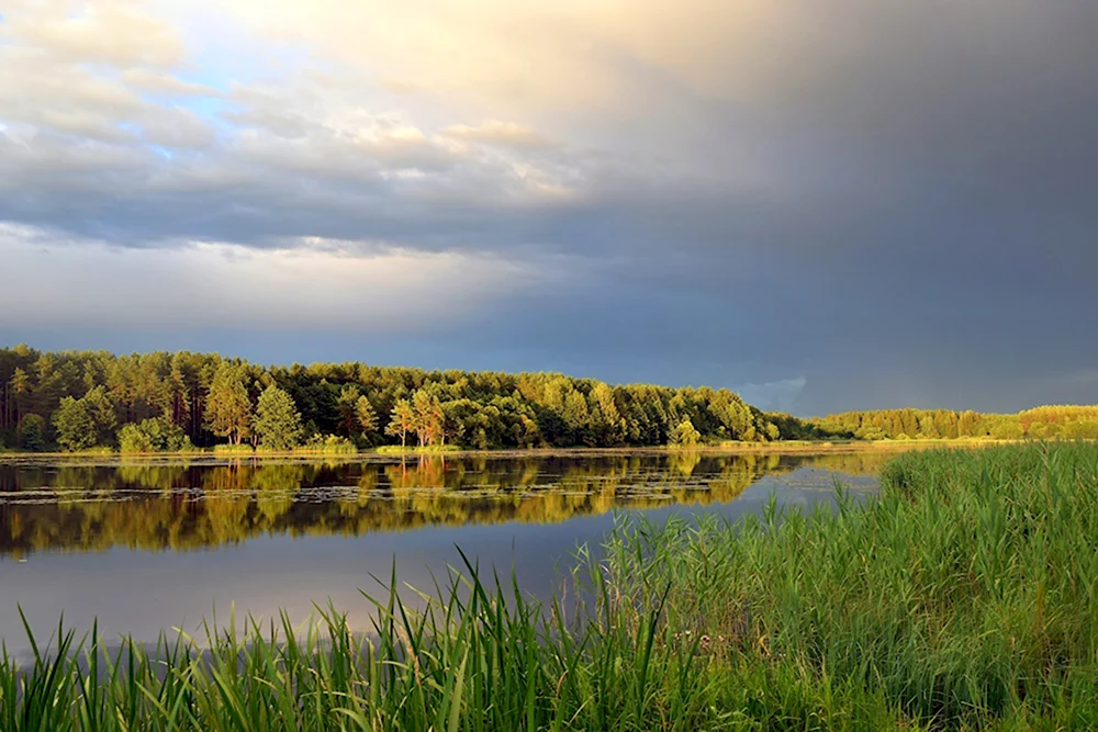 Природа РБ