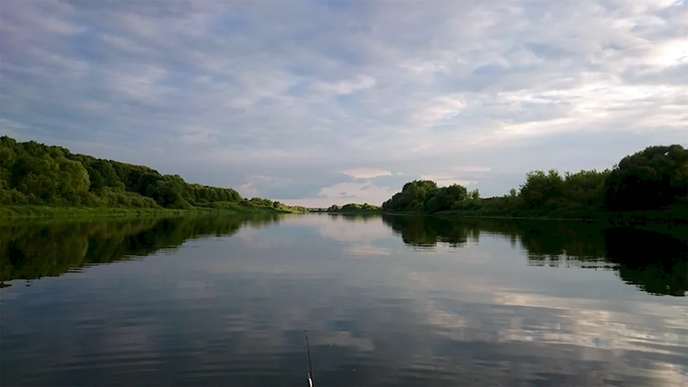 Проня река Рязань