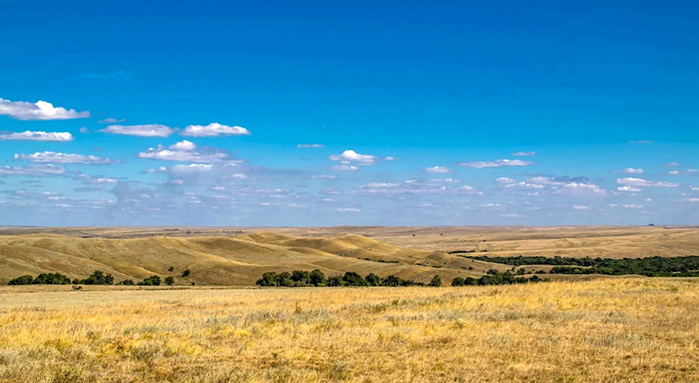 Провальская степь заповедник