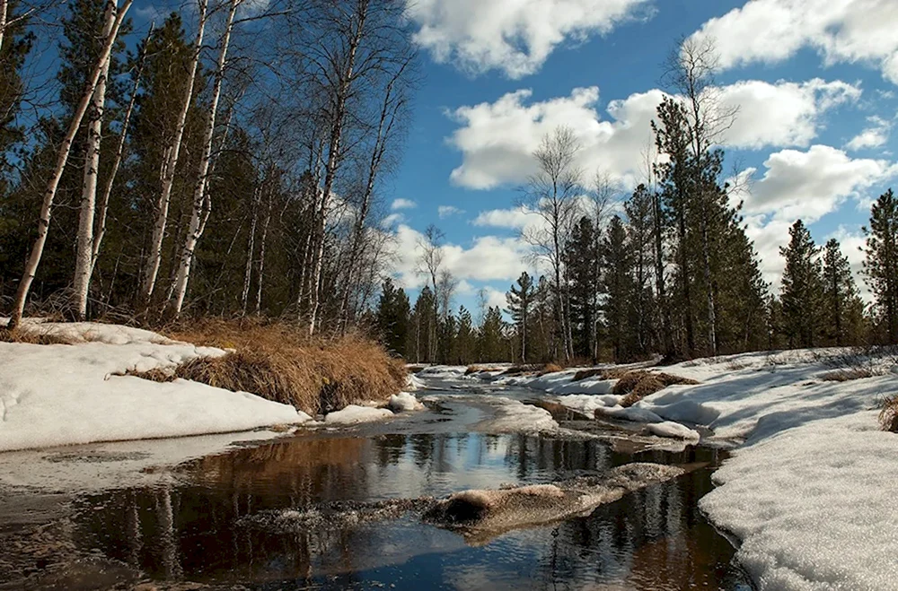 Ранняя Весна