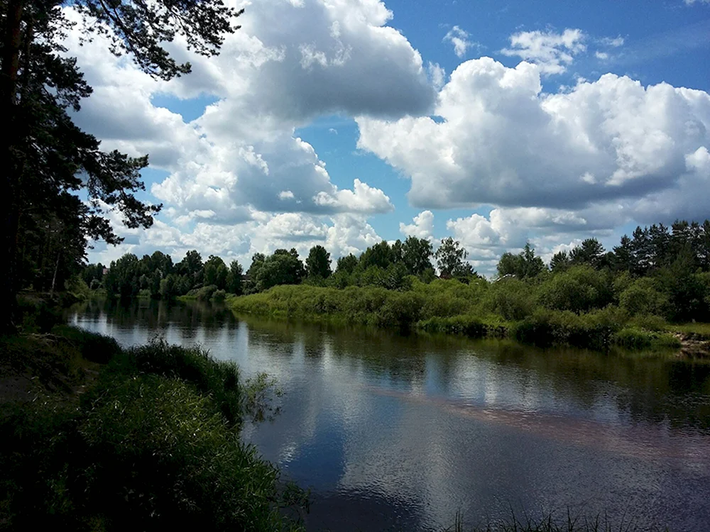 Ранова река Рязанская область