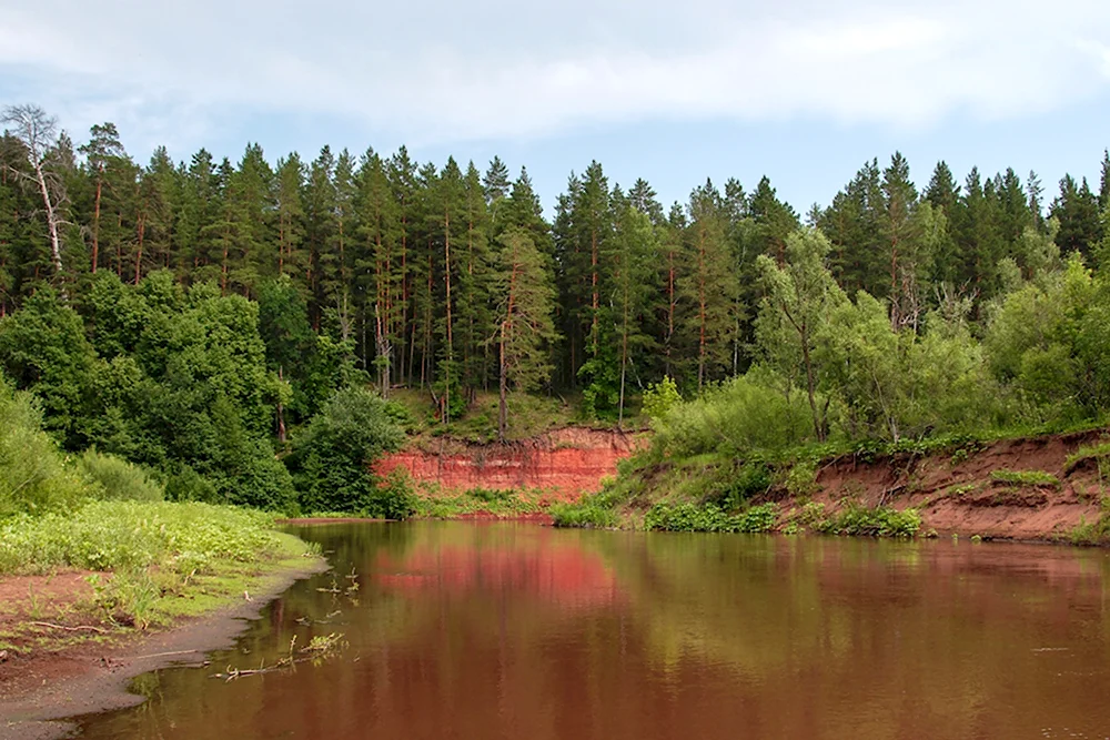Река Боровка Бузулукский Бор