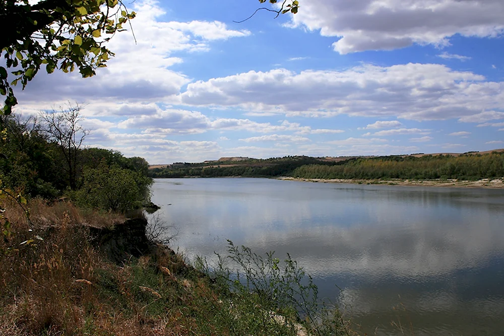 Река Дон Донской Тульской