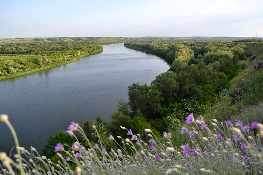 Река Дон Вешенская