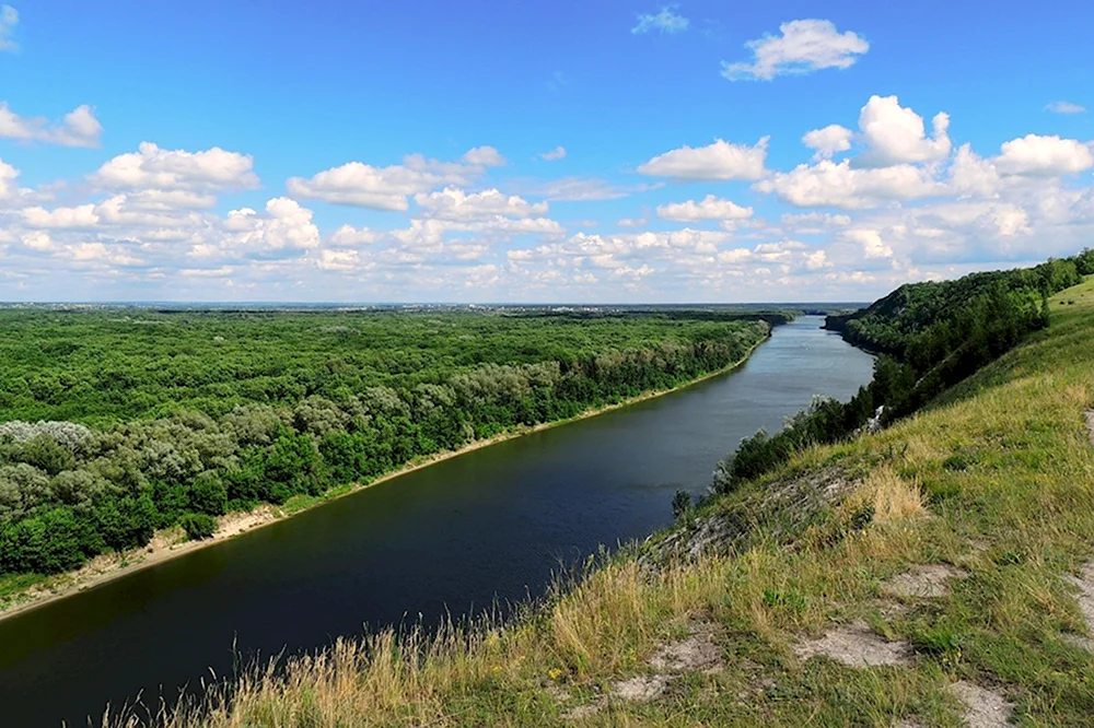 Река Дон Воронеж
