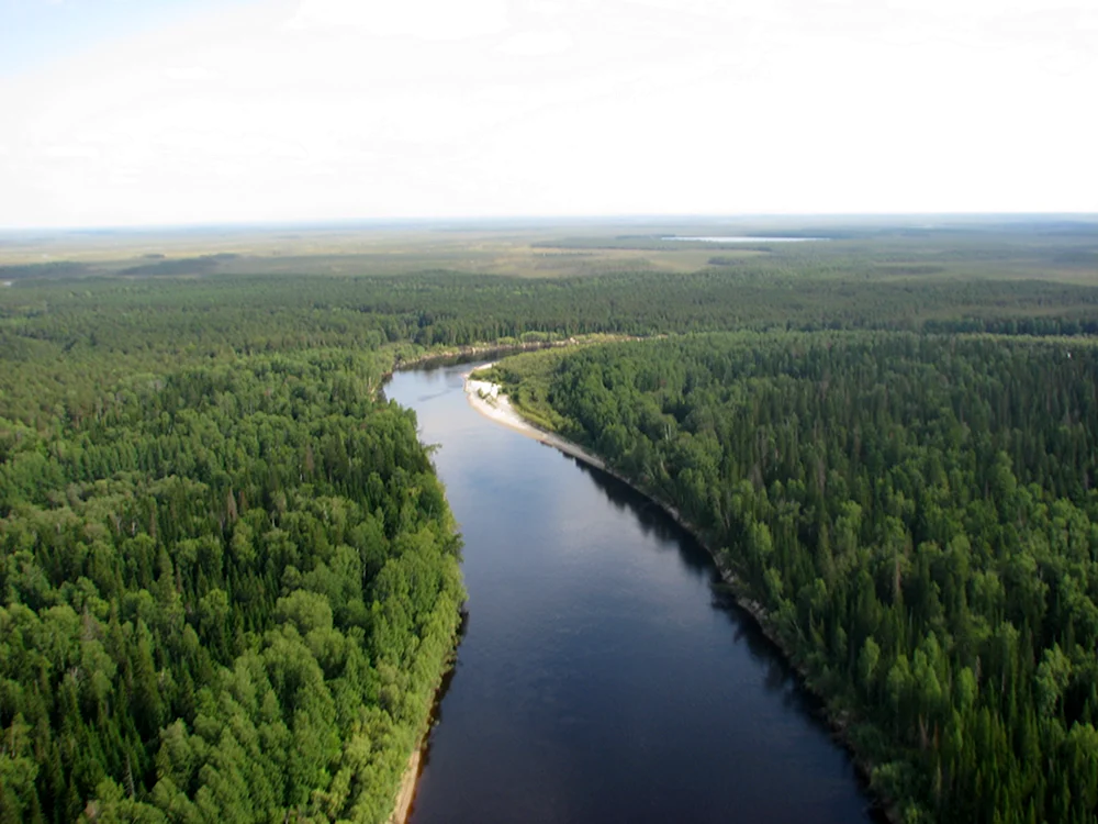Река Юган ХМАО