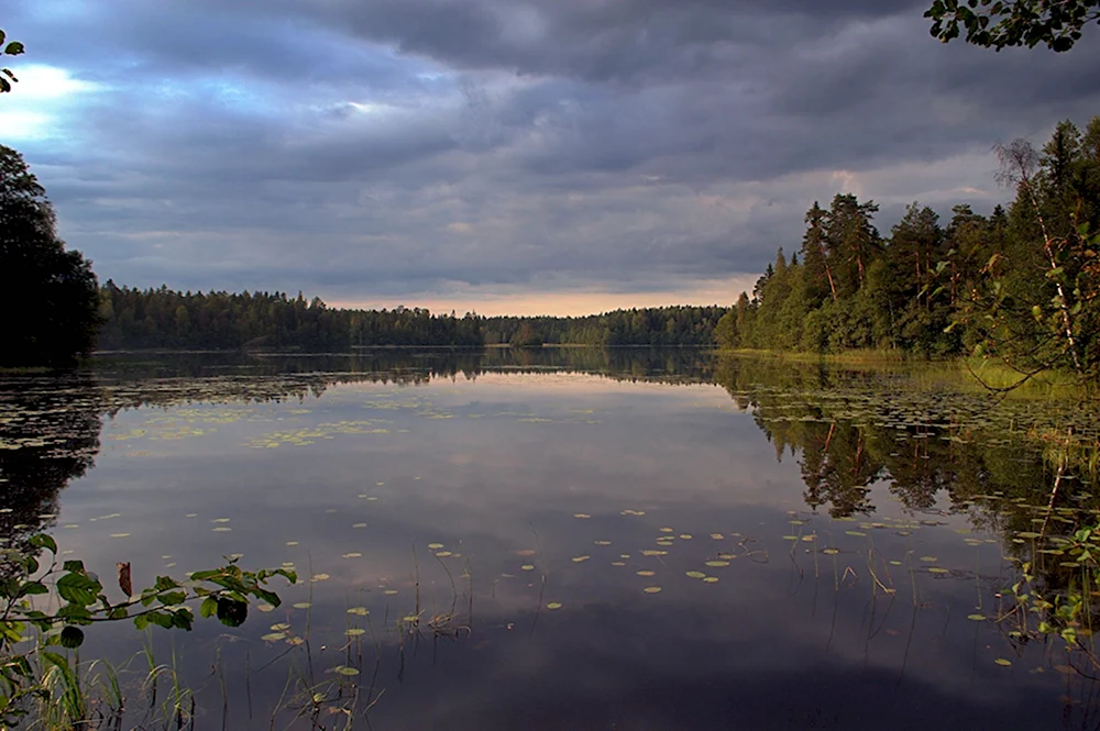 Река Колпь Бабаево