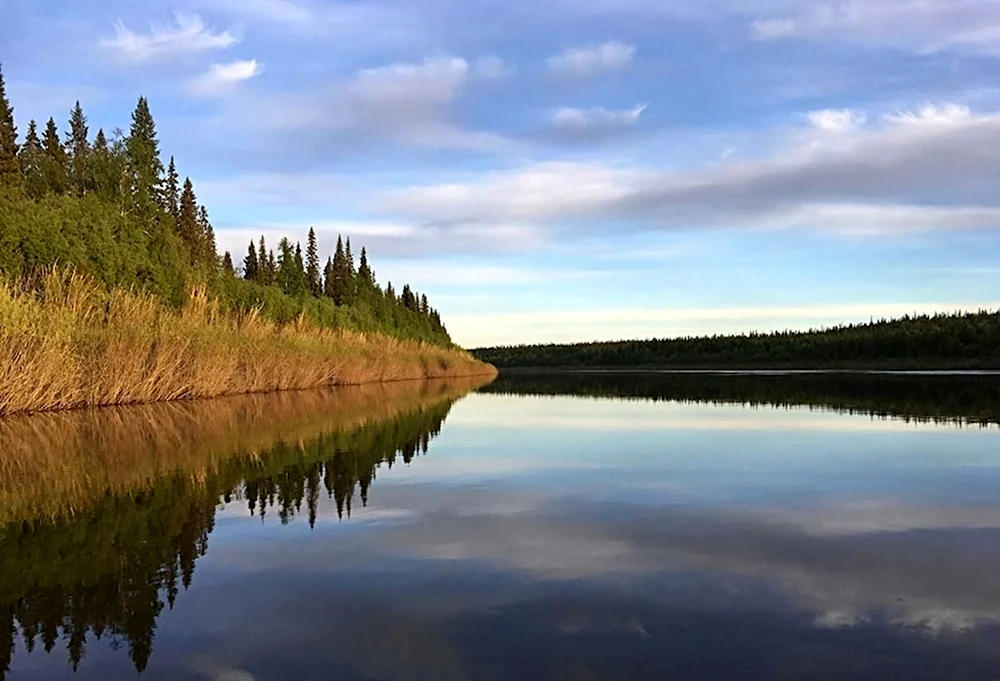 Река Колва Пермский край