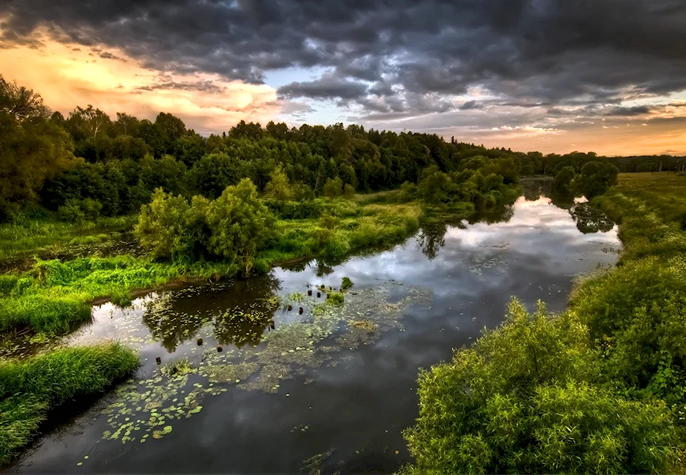 Река Лопасня Чеховского района