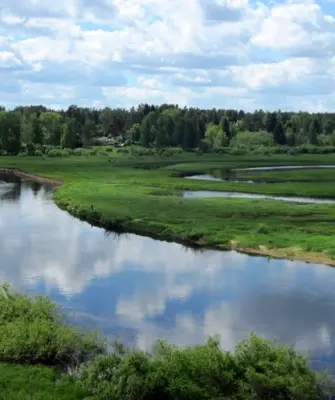 Река Луга Толмачево