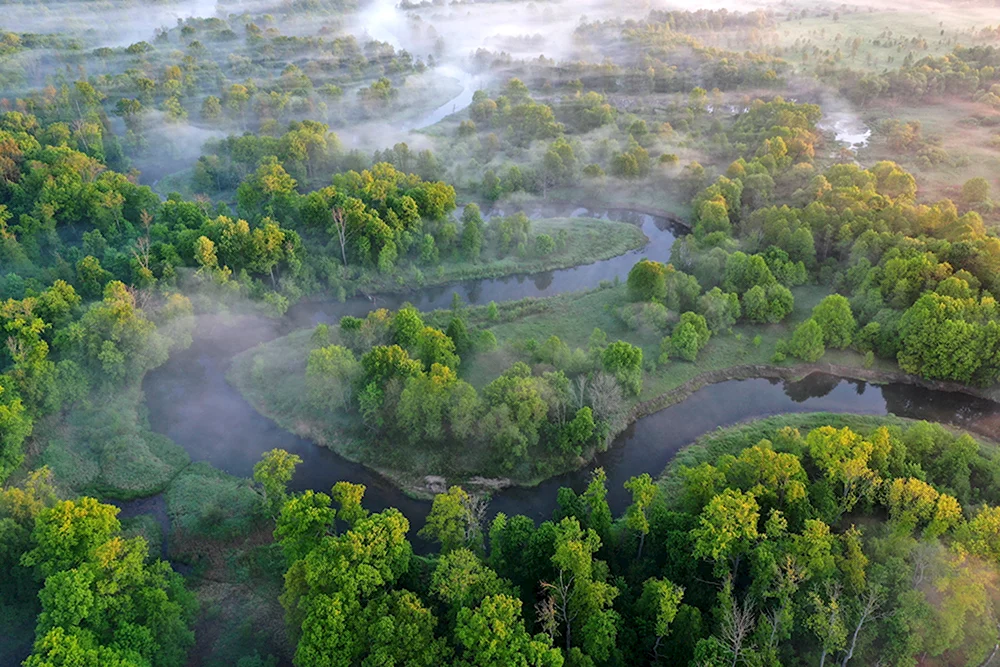 Река Нерусса Брянский лес