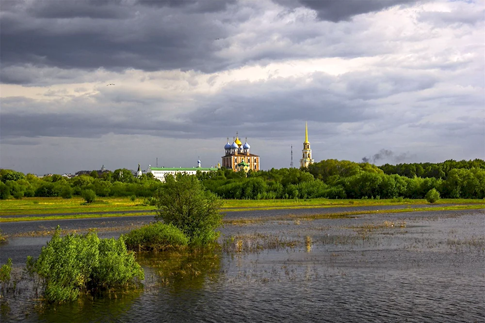 Река Ока Рязанский Кремль